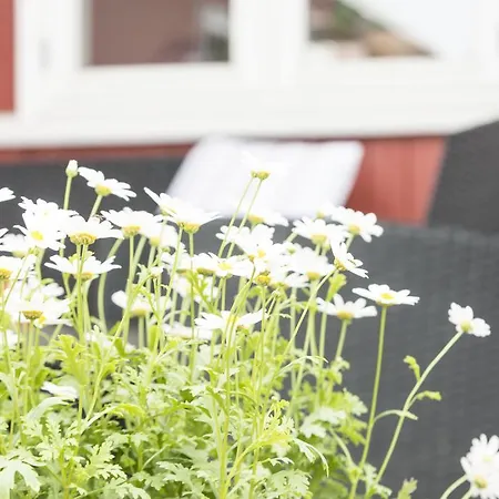 Guest house Nordliv